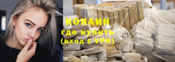 дживик Козловка