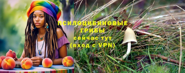 Альфа ПВП Киреевск
