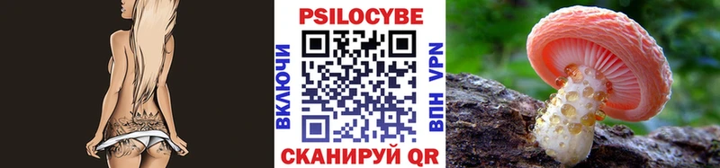 Галлюциногенные грибы Psilocybine cubensis  Купить  Боготол 